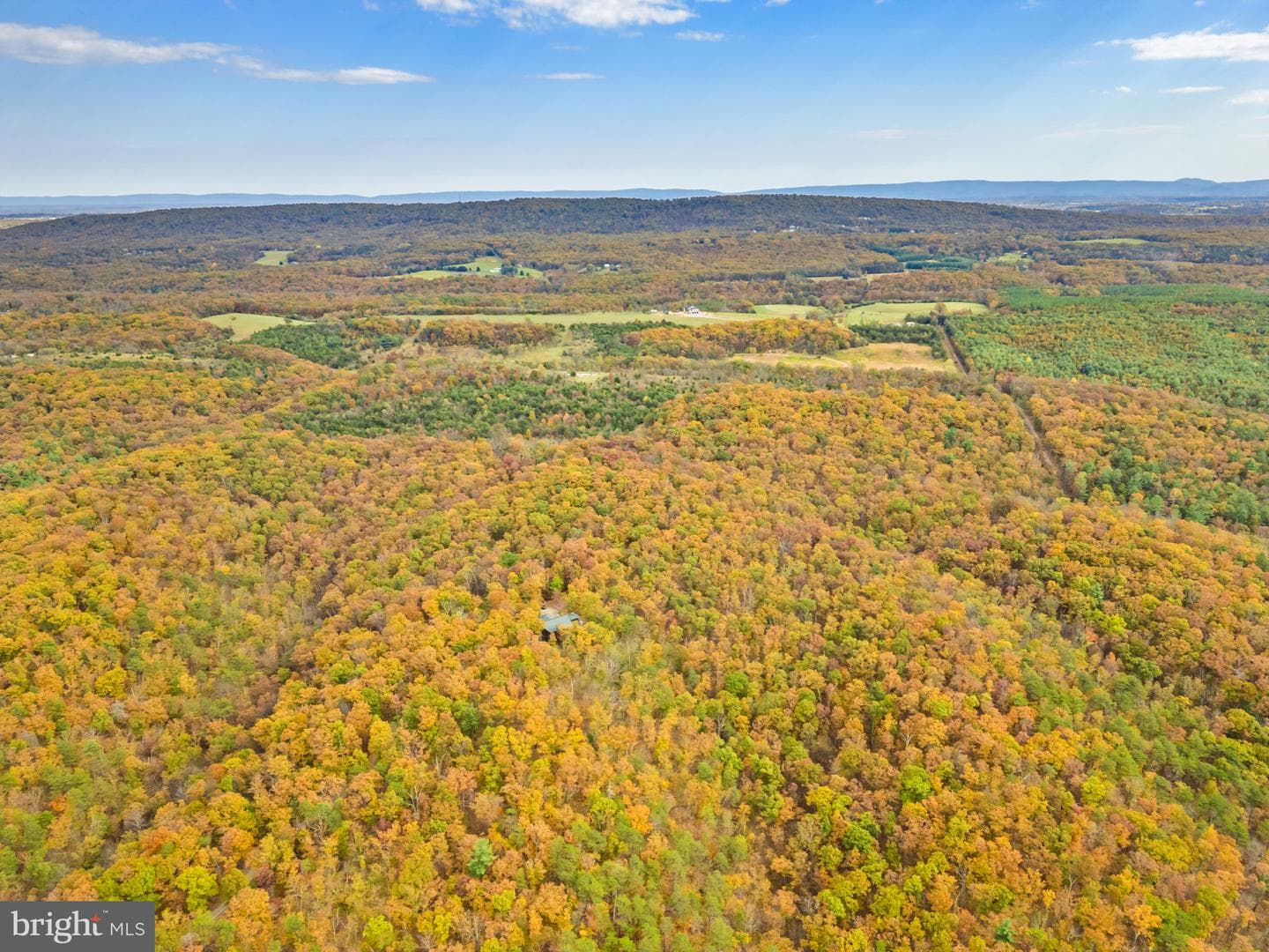 1631 Back Mountain Road photo 84