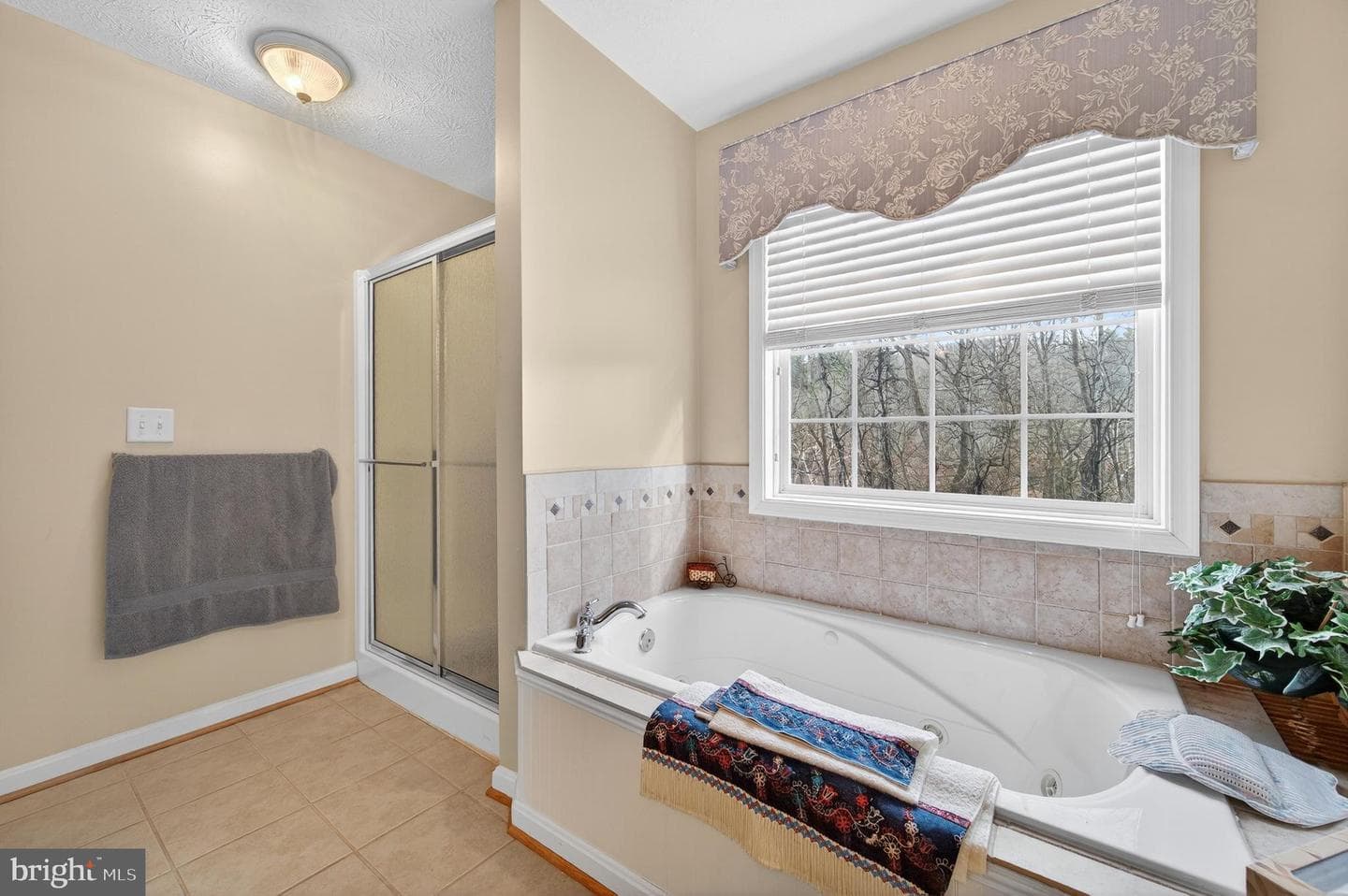461 Skylar Lanes Way photo 46