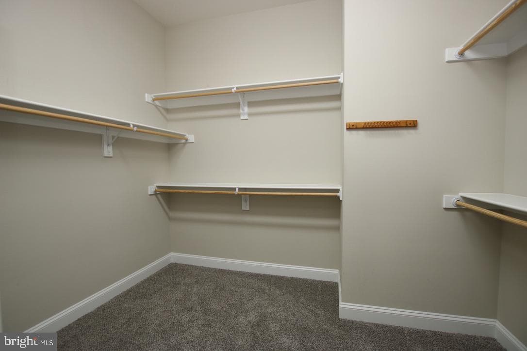 114 Turnstone Lane photo 25