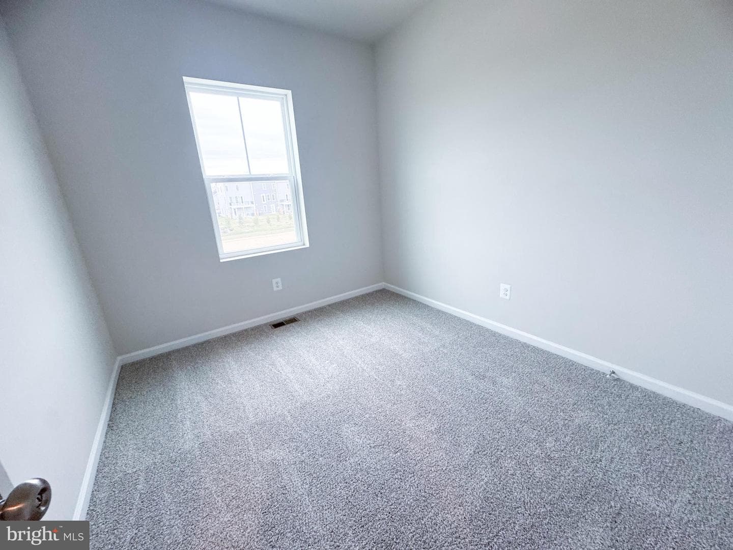 110 Flaxen Mane Court photo 19