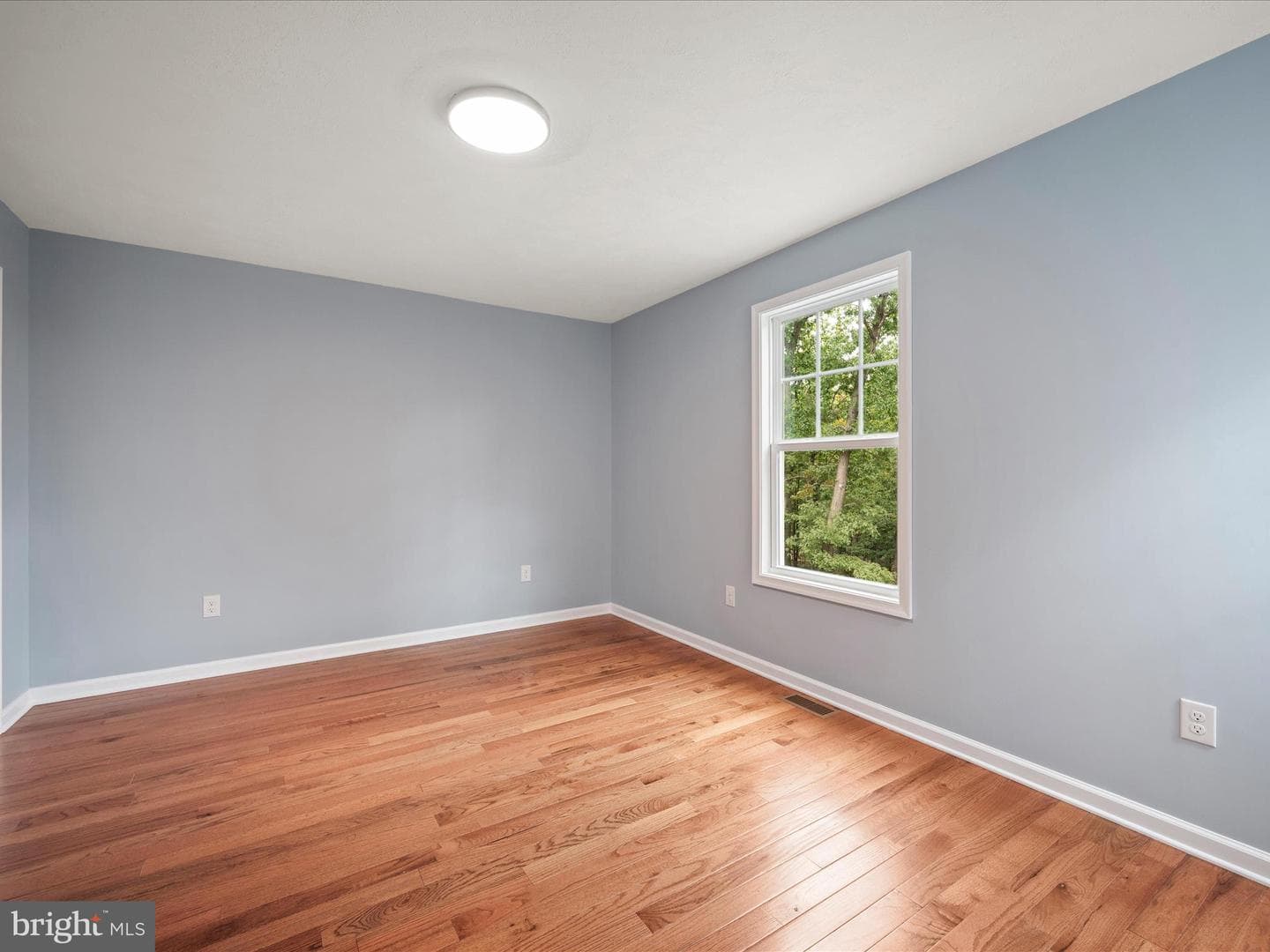 513 Pheasant Drive photo 23