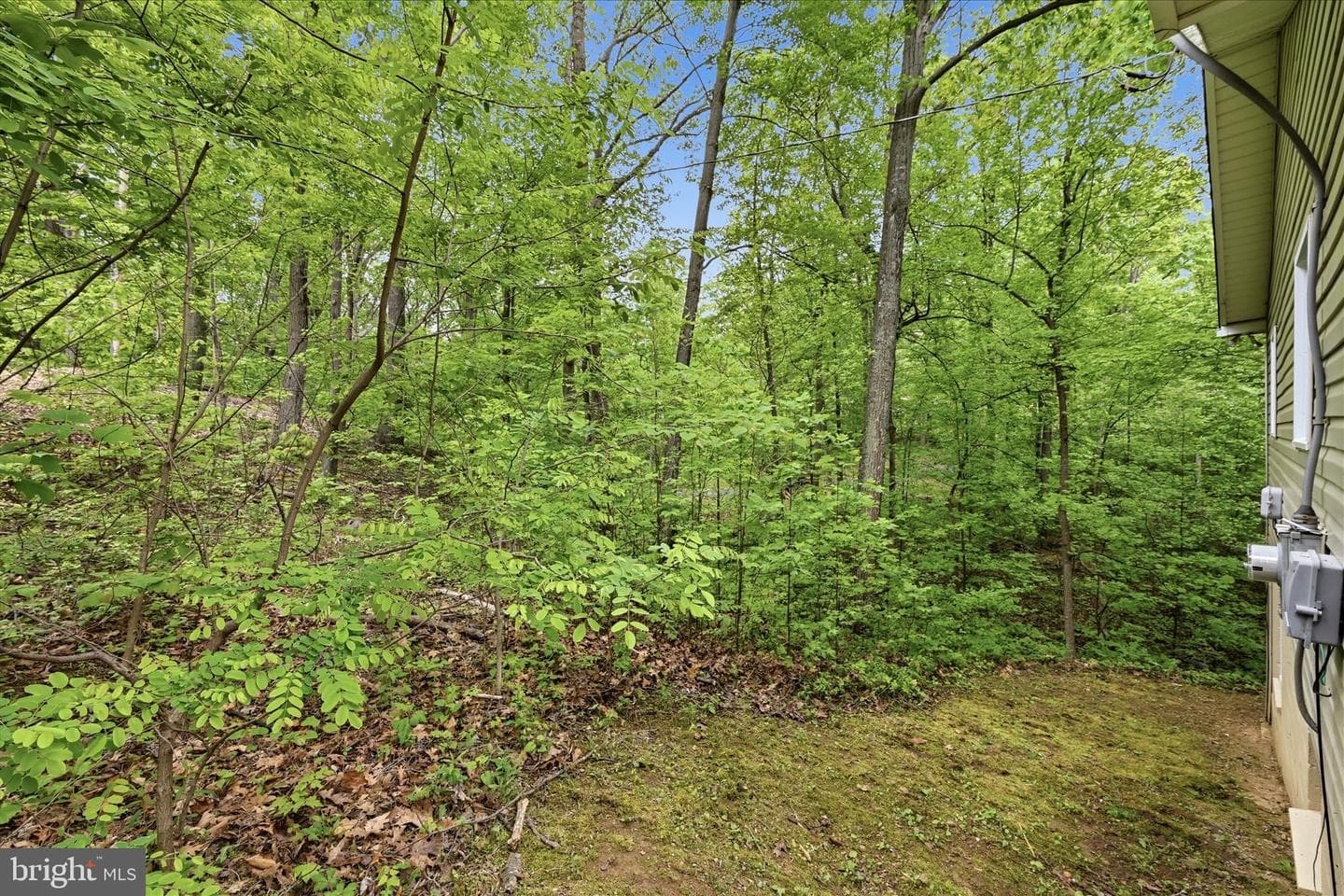 212 Beaver Trail photo 53