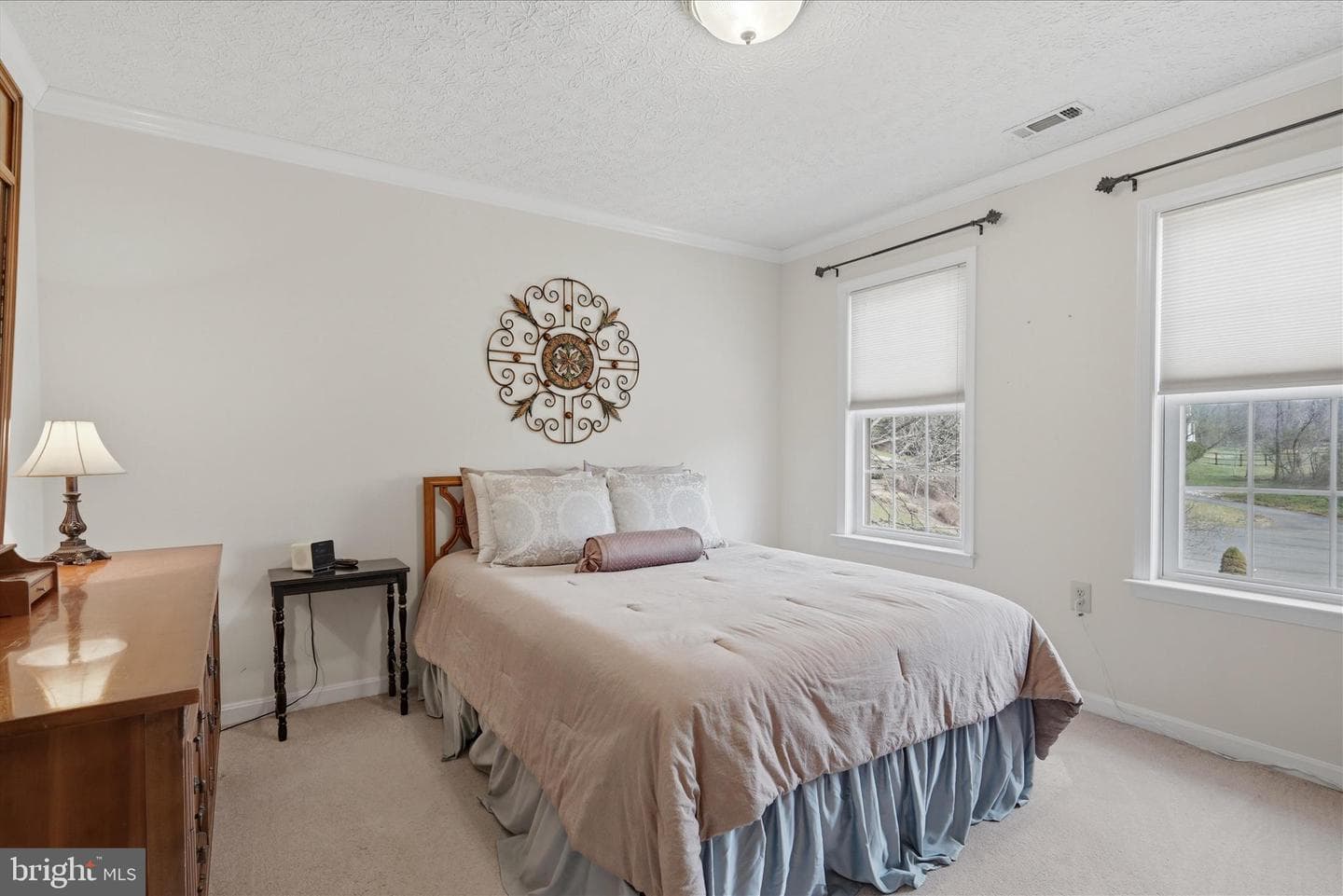 155 Bunchberry Ridge Court photo 34
