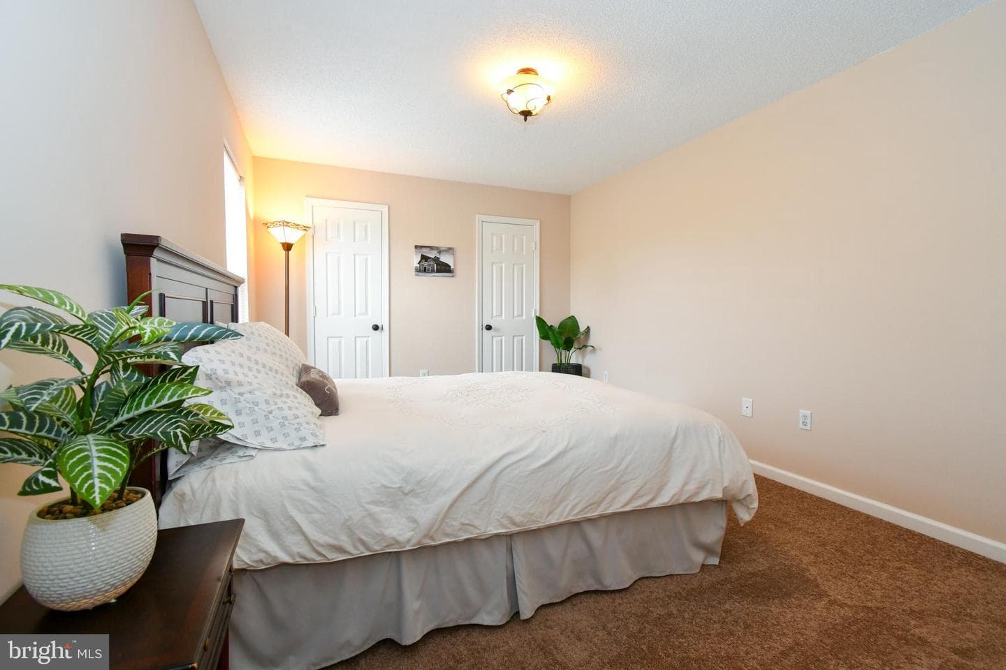 407 Emily Lane photo 11
