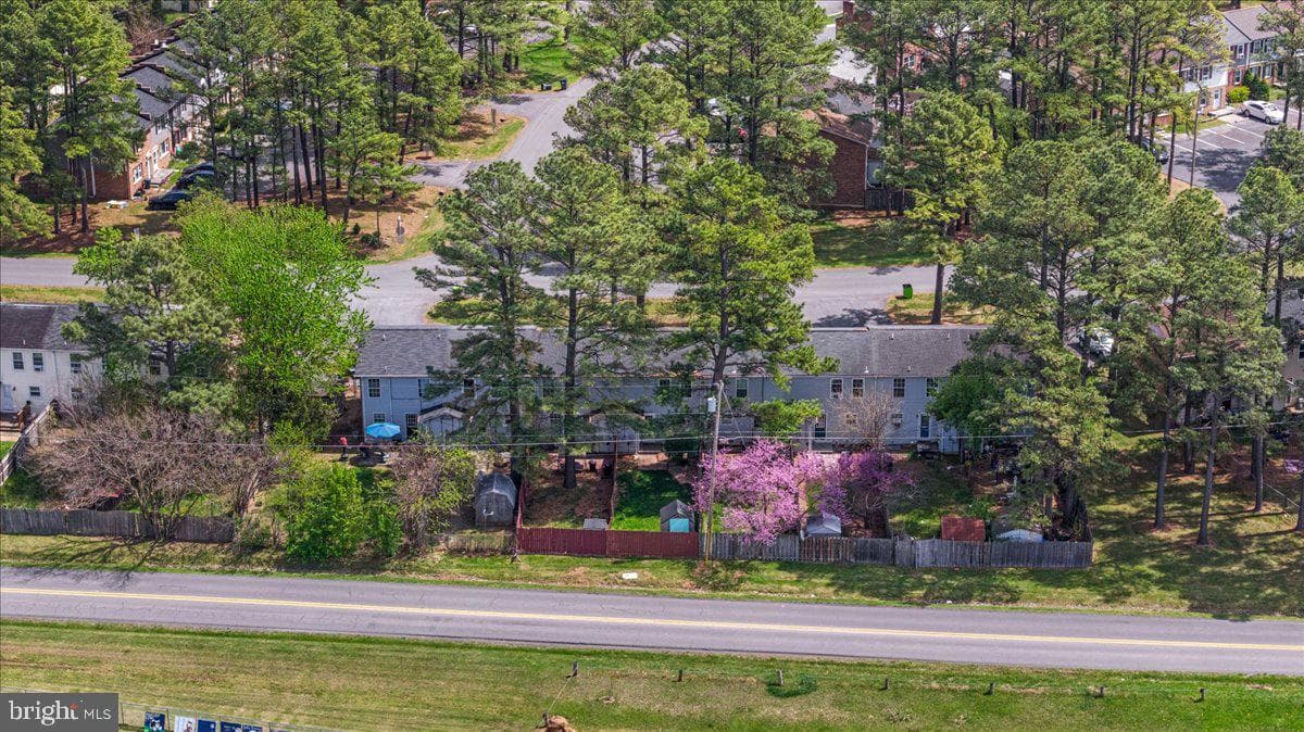 224 Carroll Drive photo 24