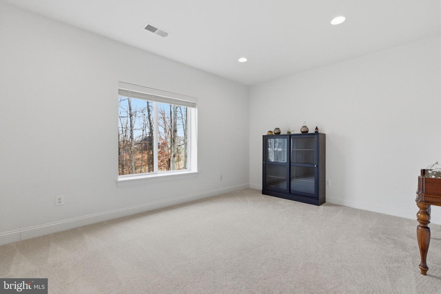 121 Milkweed Dr photo 31