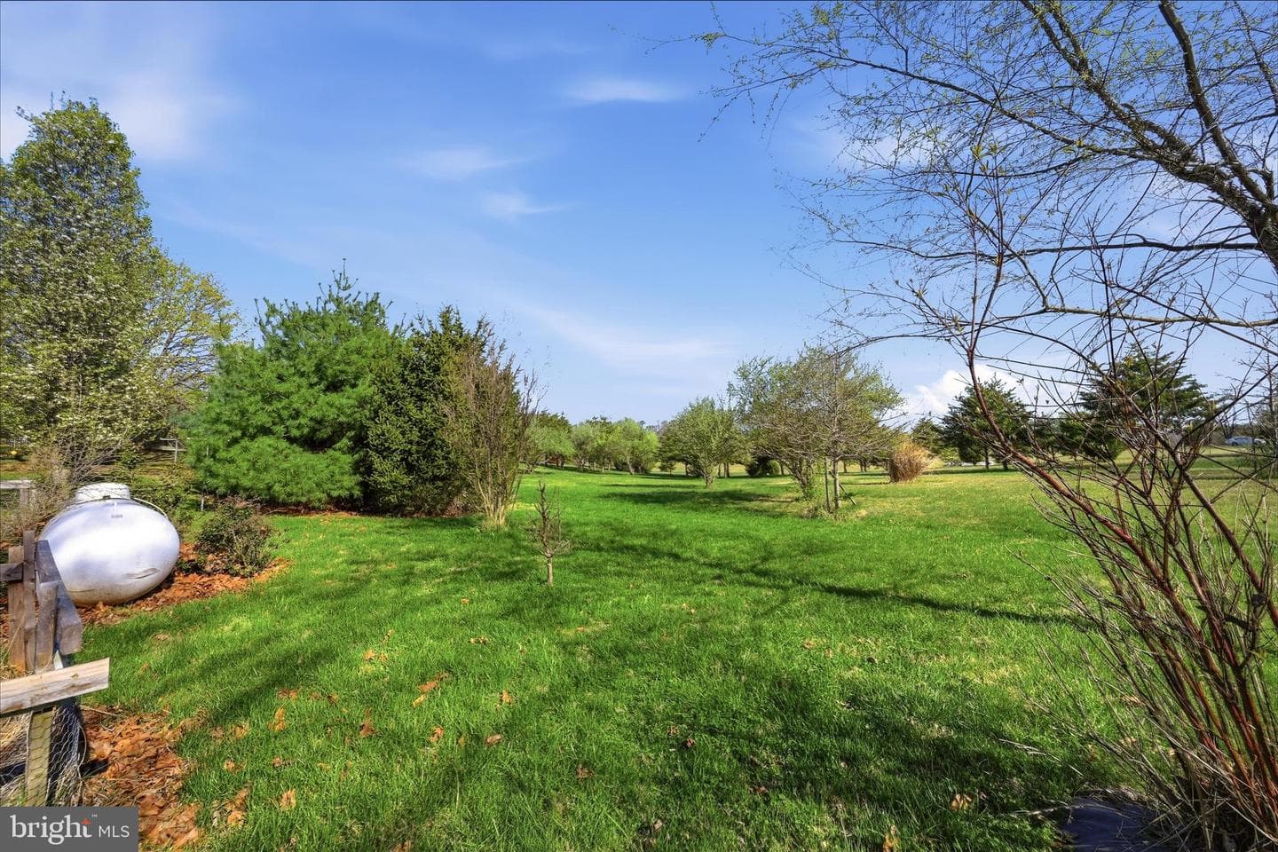 1239 Cedar Grove Road photo 66