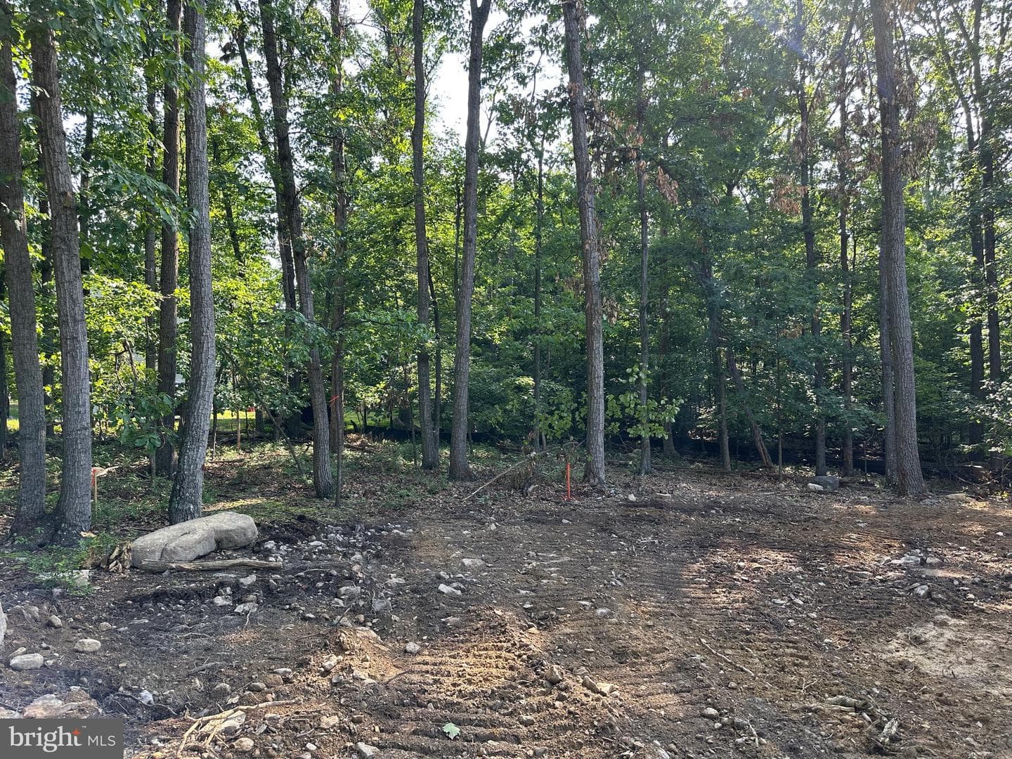 103 Tonto Trail photo 5