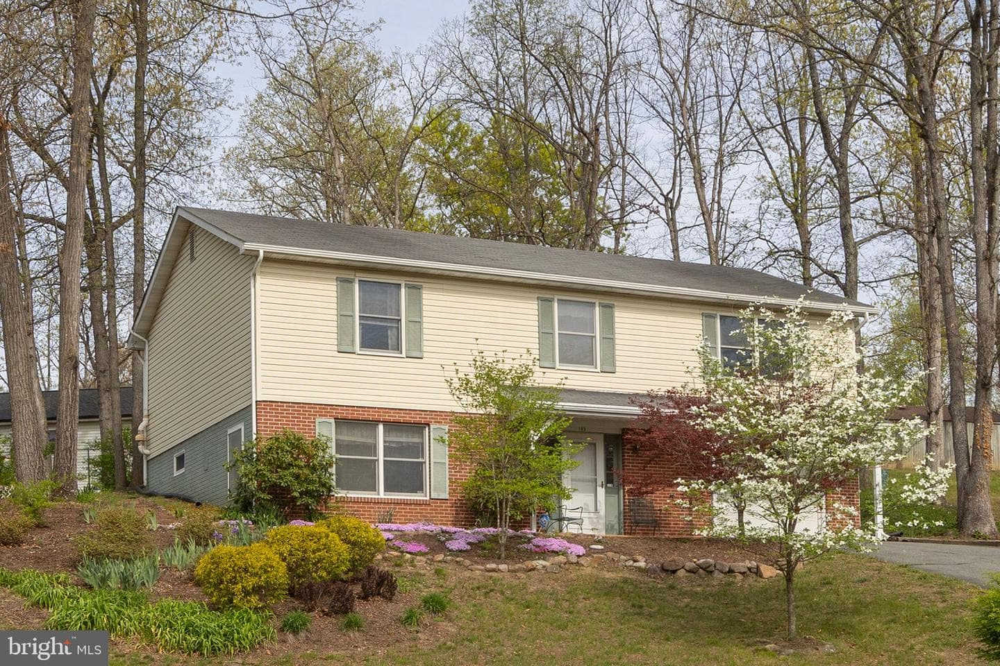 105 Lakewood photo 3