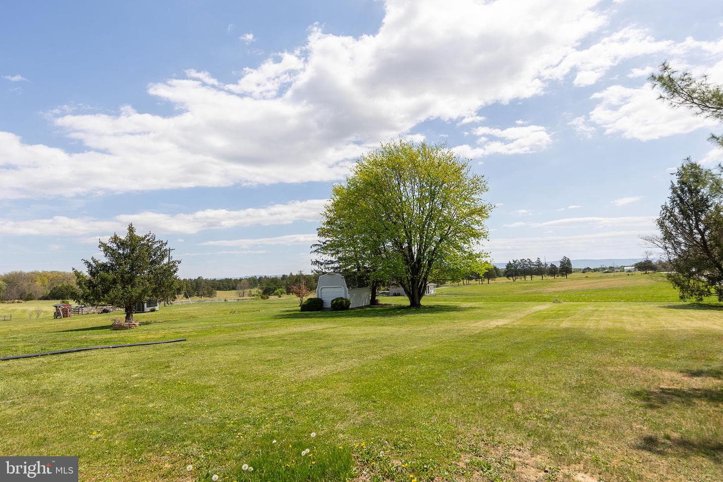 100 Virginia Drive photo 35
