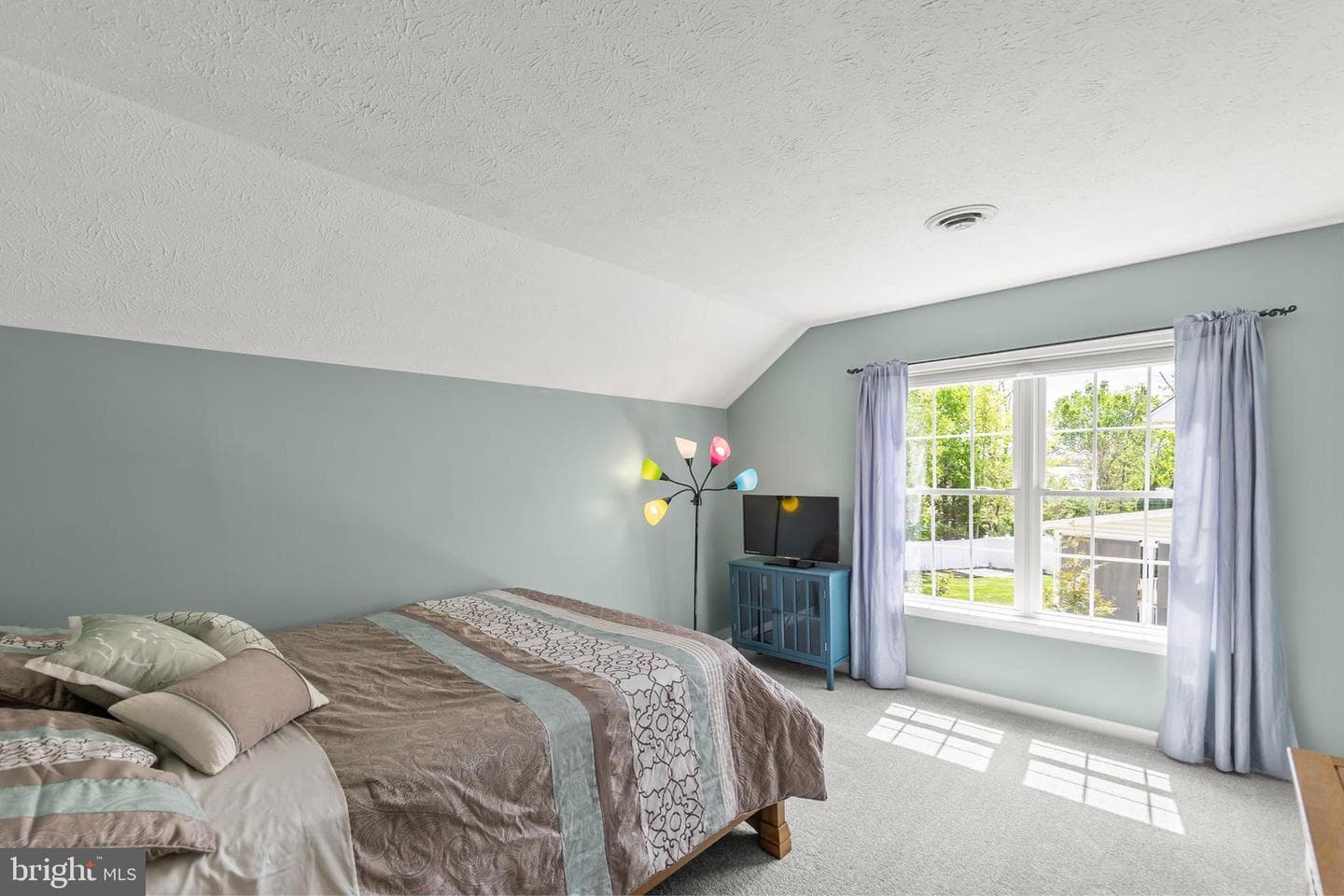 103 Boydton Plank Drive photo 38