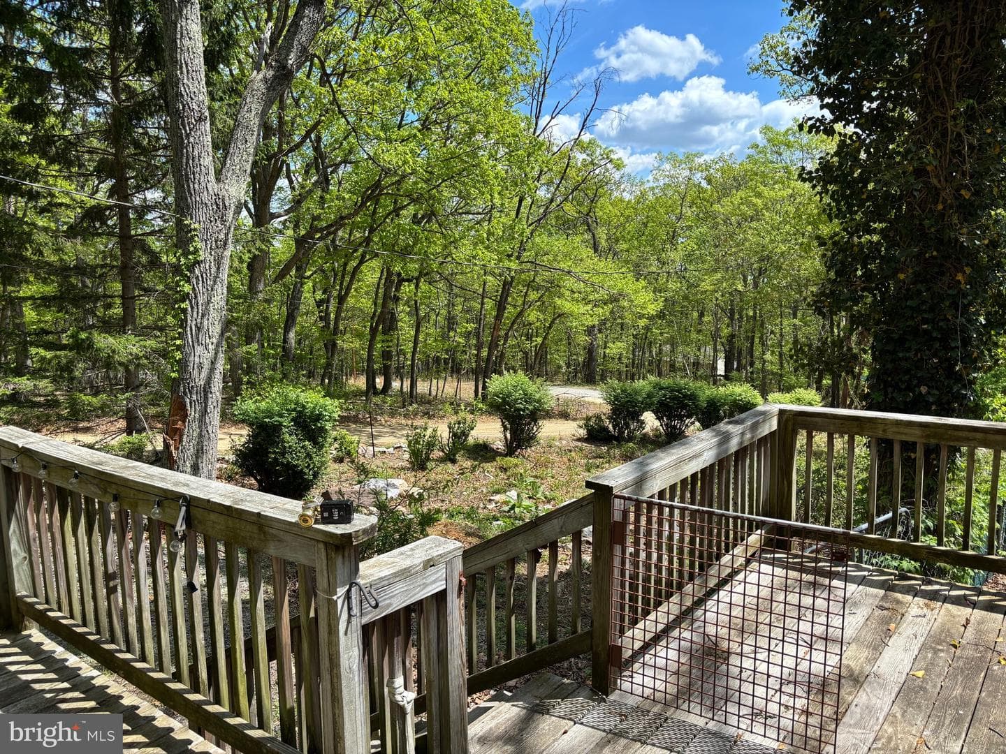 500 Opossum Trail photo 3