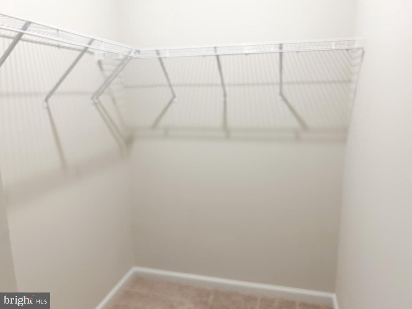108 Zinnia Lane photo 13