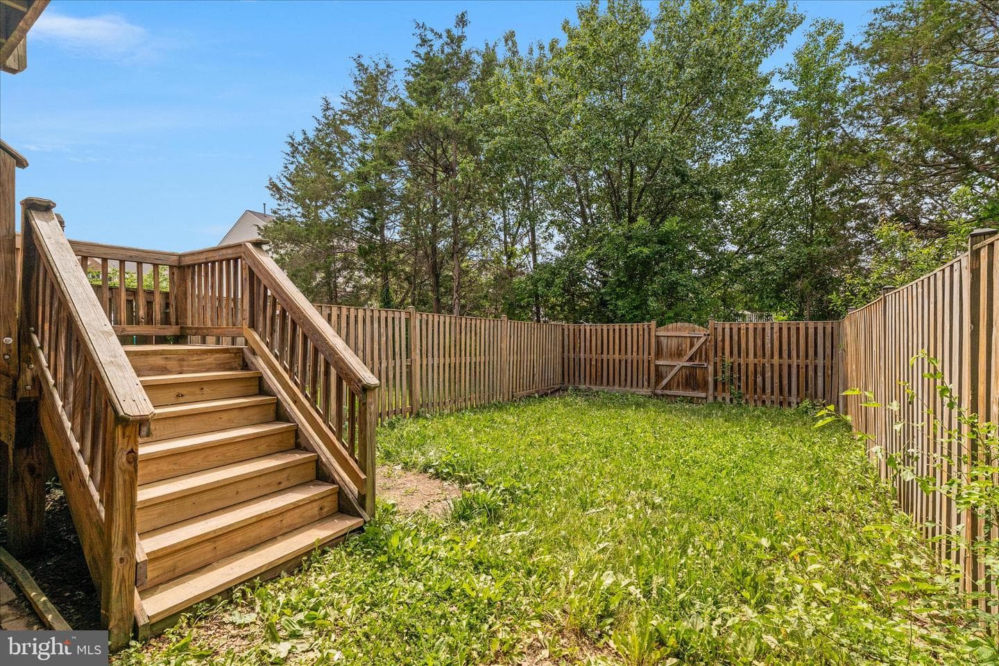 509 Hamilton Court photo 28