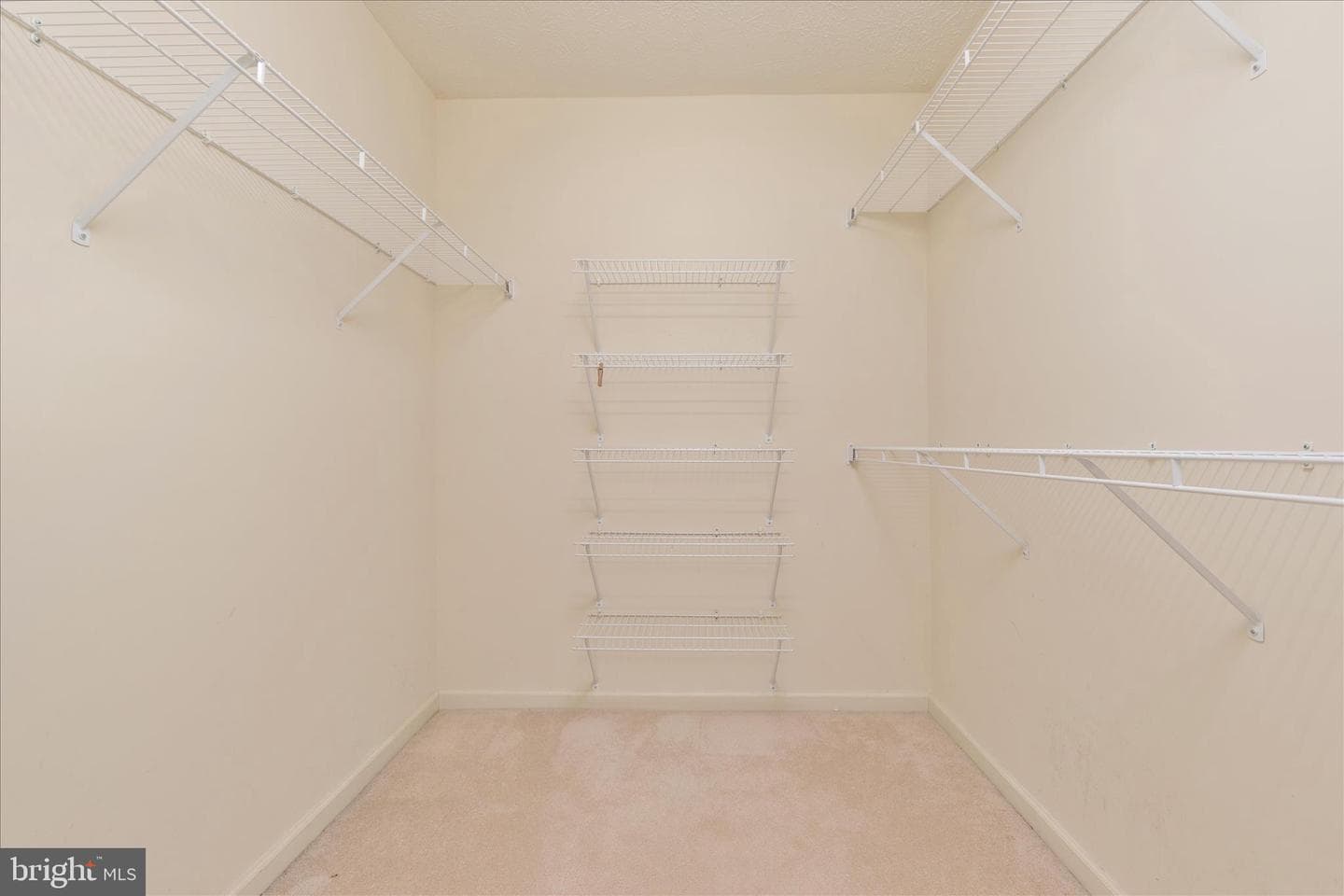 203 Cranberry Court photo 14