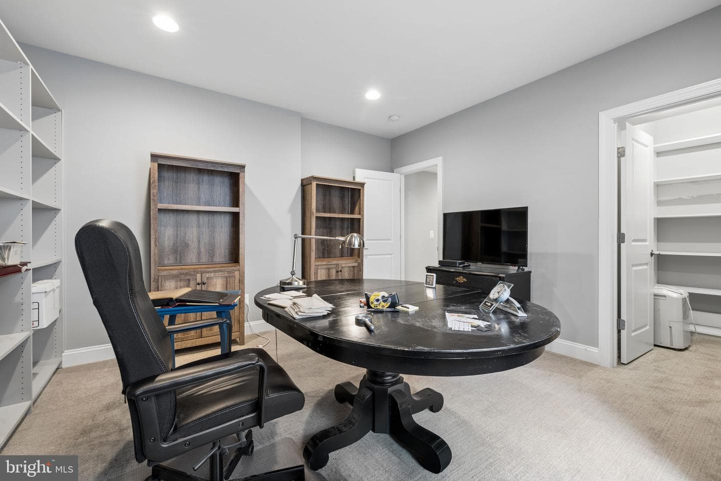222 Grebe Drive photo 43