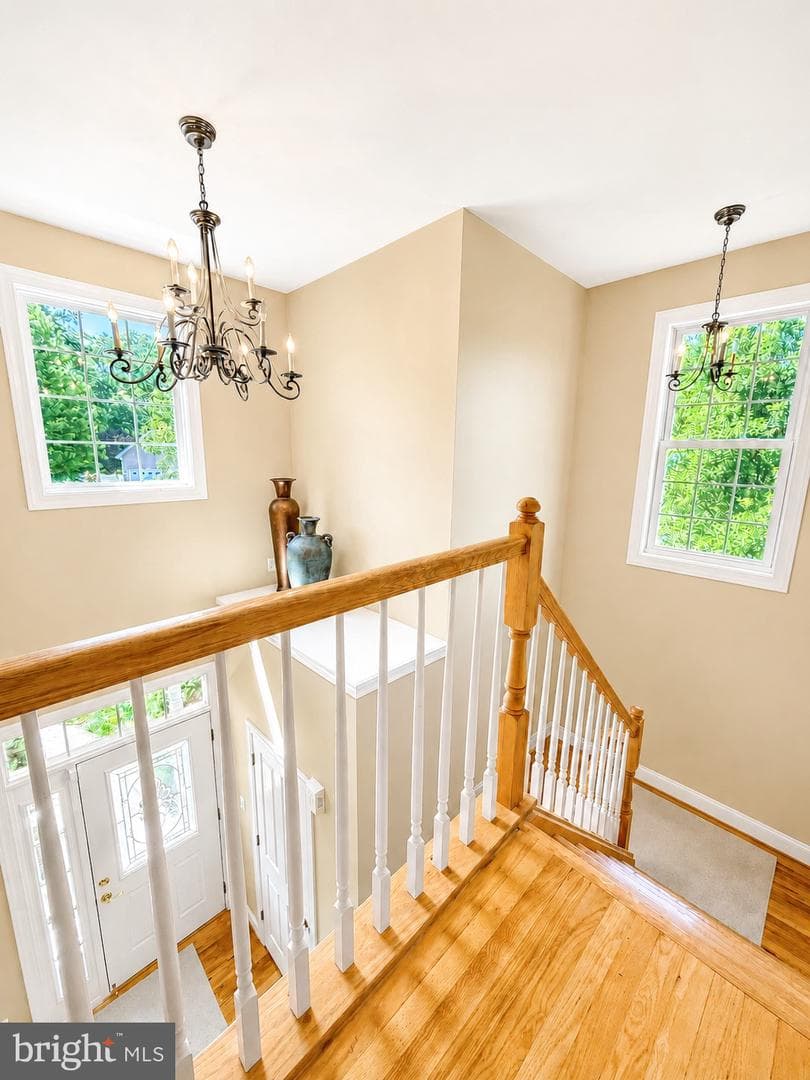 105 Travis Court photo 23