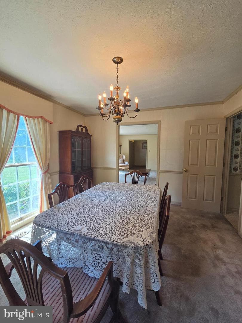 1611 Apple Pie Ridge Road photo 11