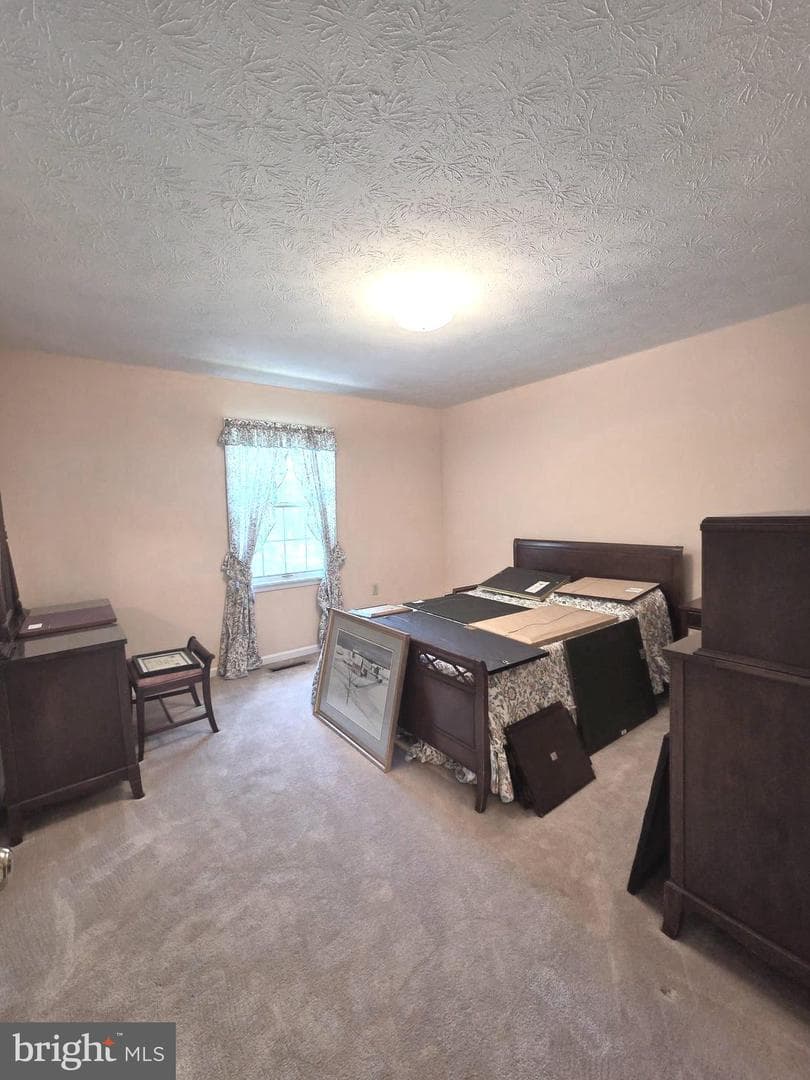 1611 Apple Pie Ridge Road photo 19