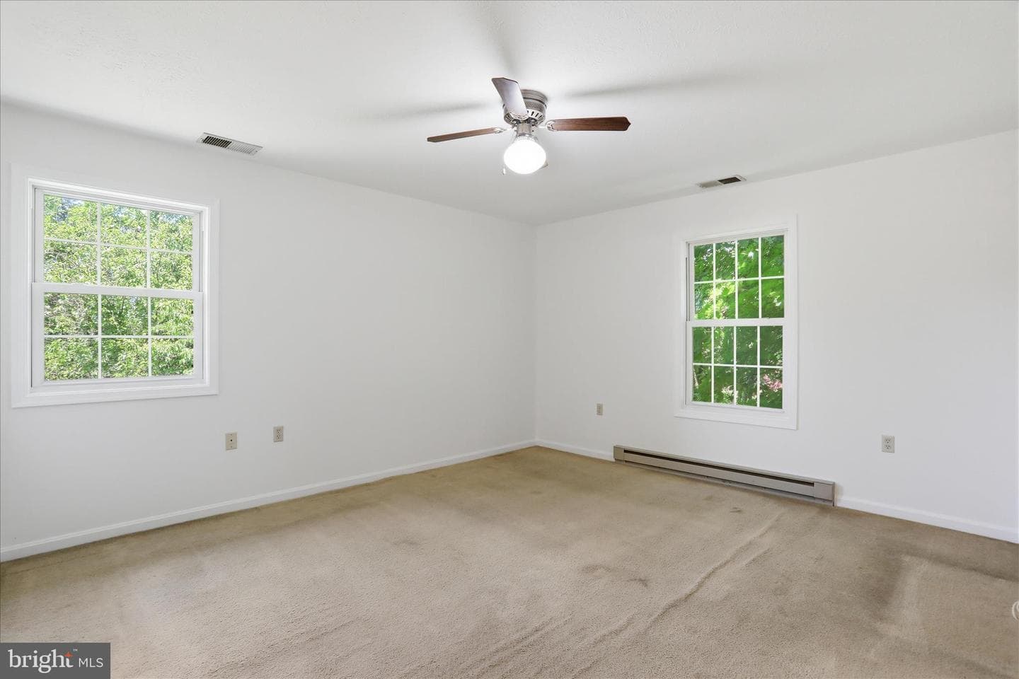 113 Bluebird Drive photo 13