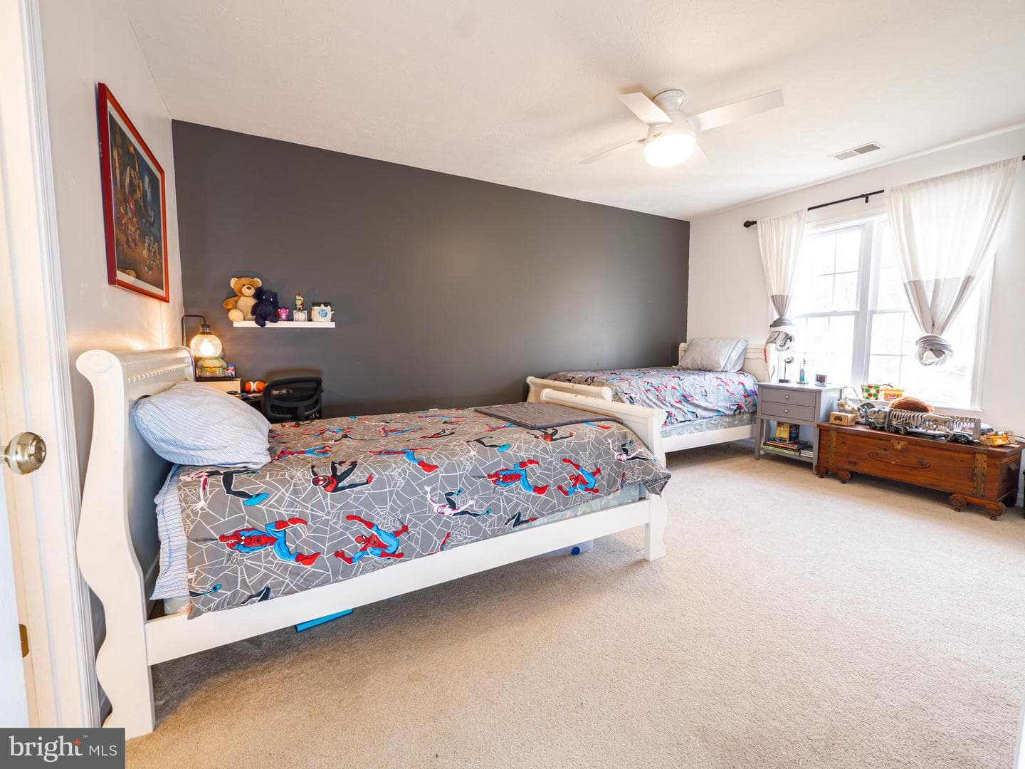 161 Skylar Lanes Way photo 37
