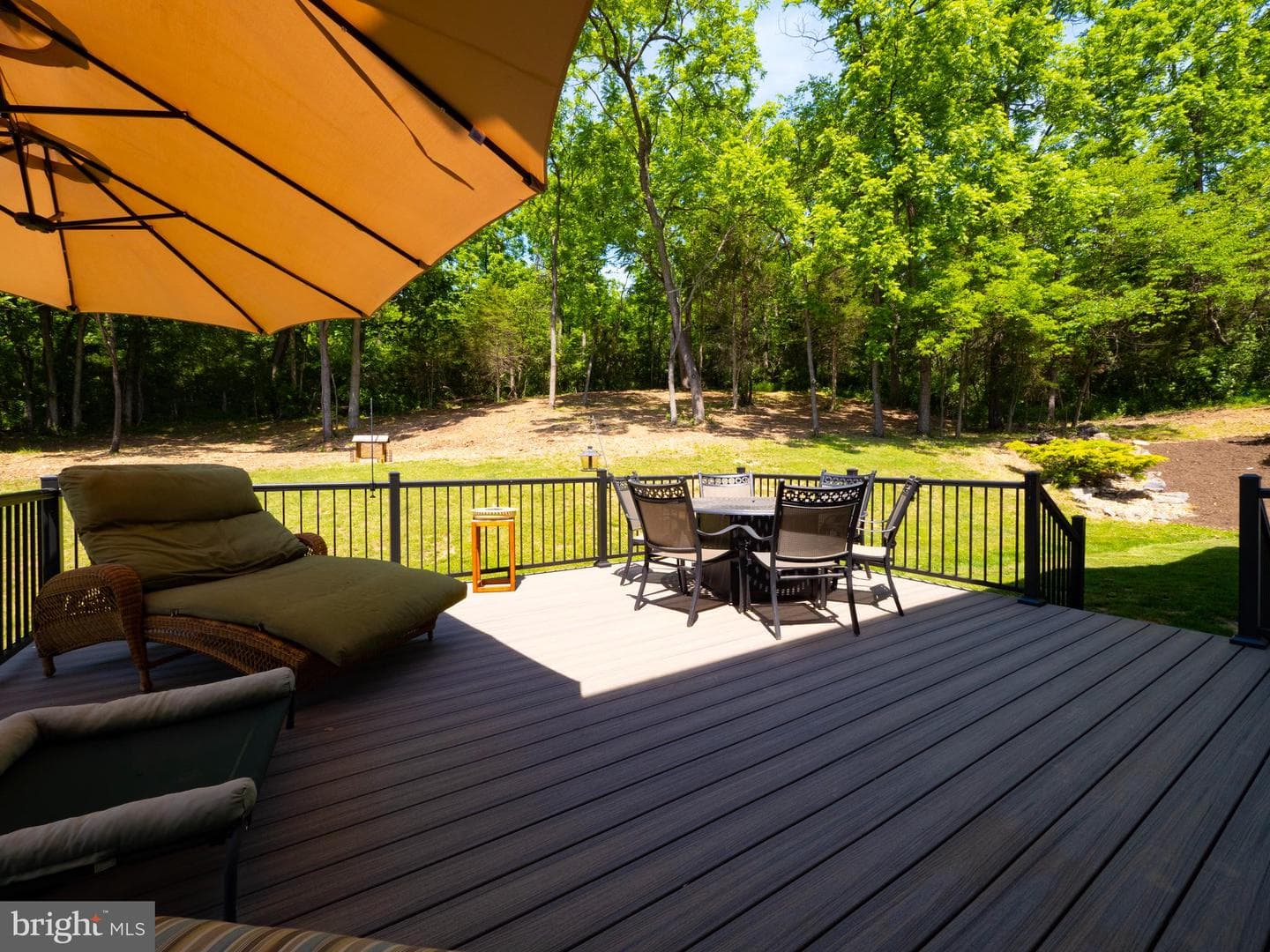 161 Skylar Lanes Way photo 59