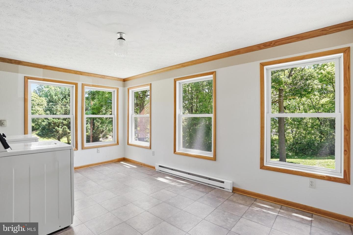 206 Dogwood Road photo 18