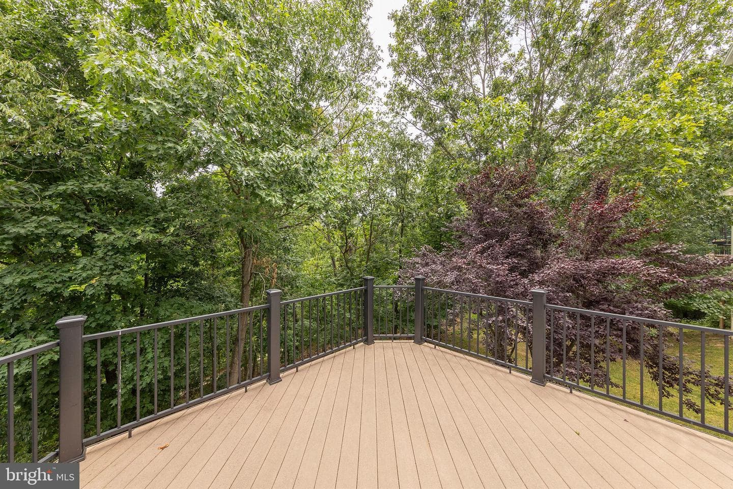 118 Aulee Court photo 53