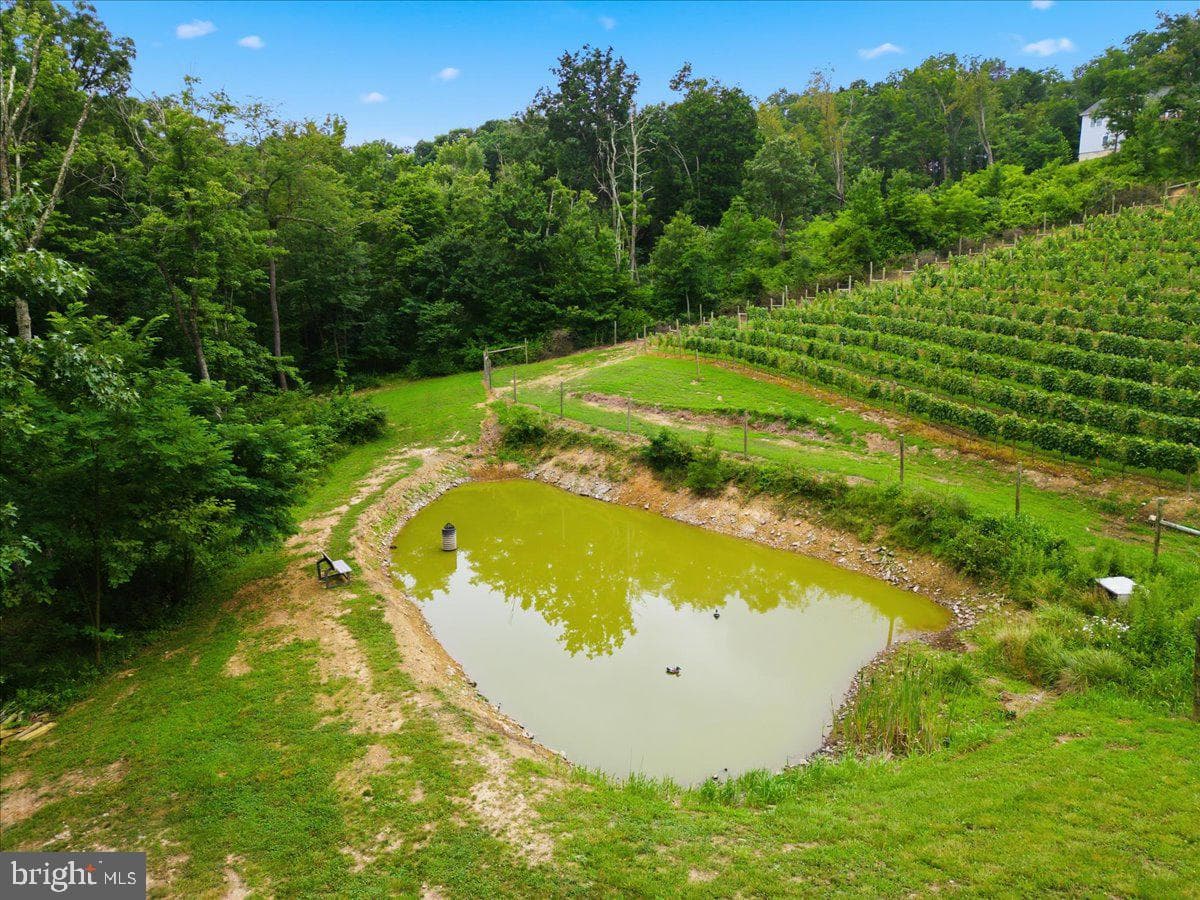 1309 Redland Road photo 88