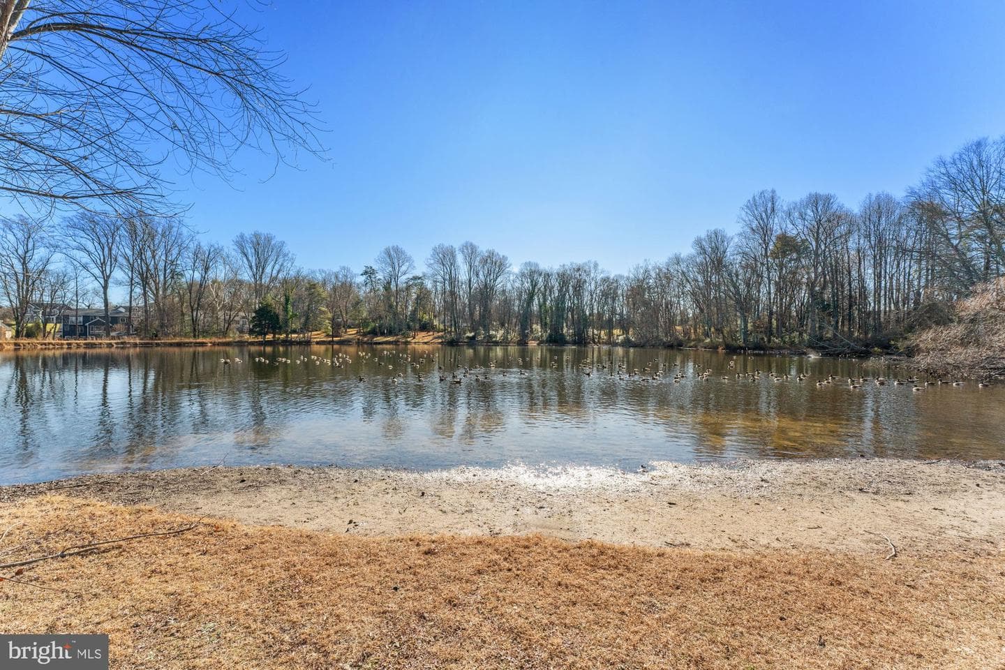 1767 Proffit Road photo 9