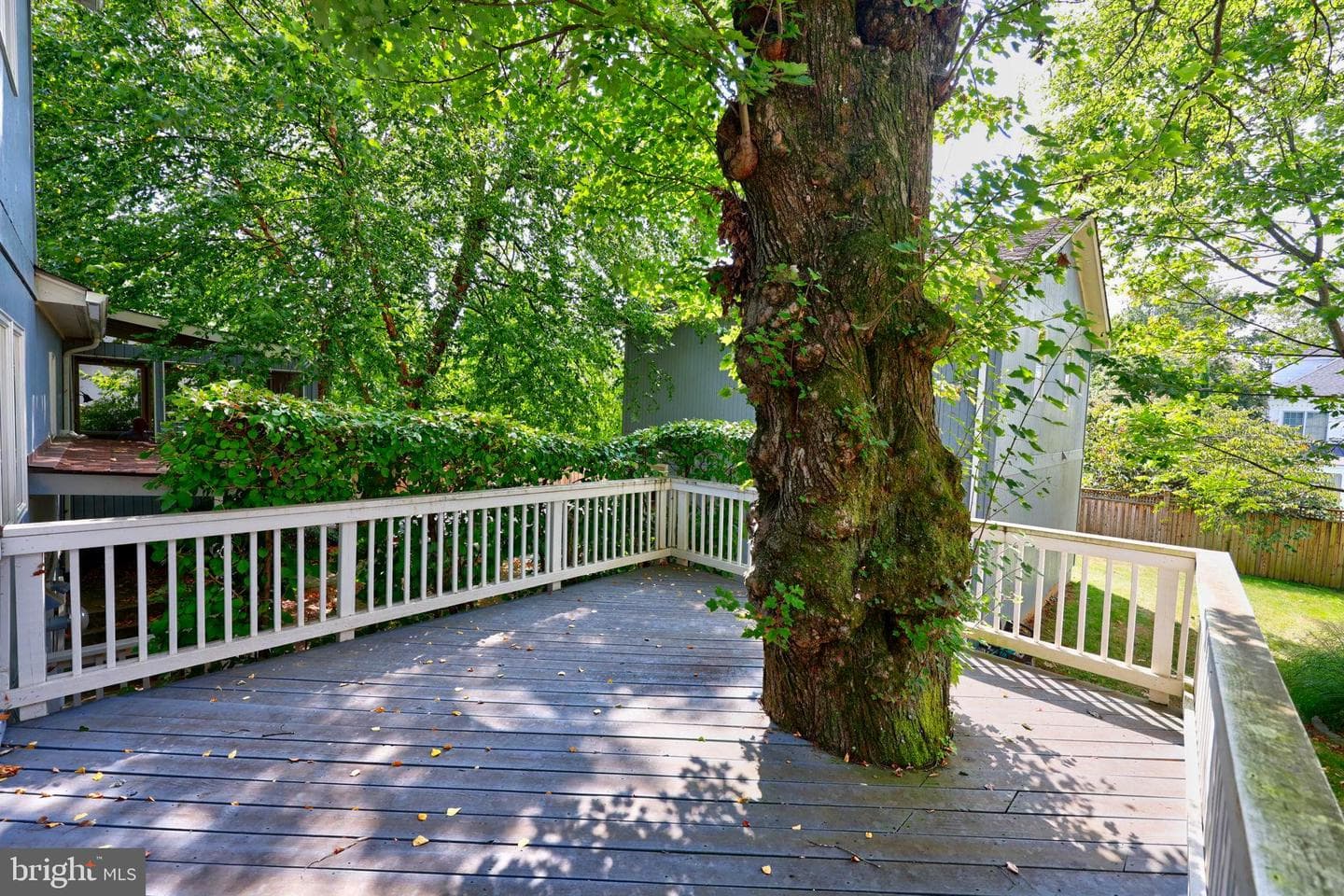 1410 Cedar Avenue photo 42