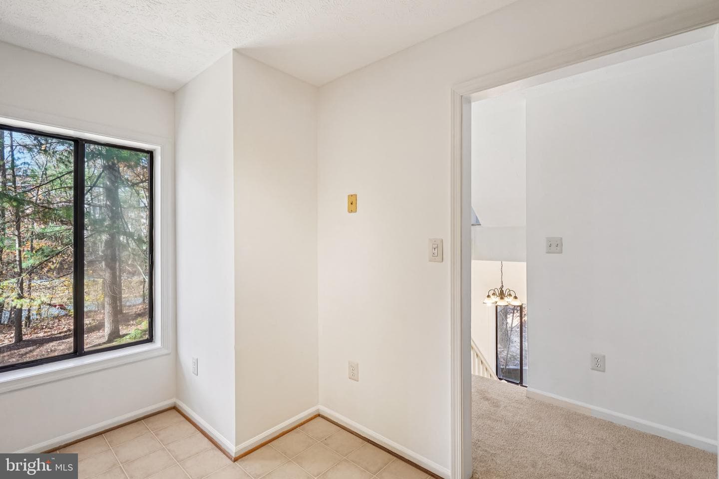 2203 Hunters Run Drive photo 13
