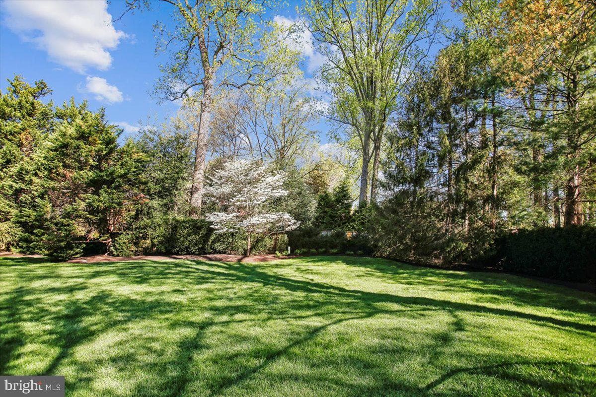 8405 Honeywood Court photo 79