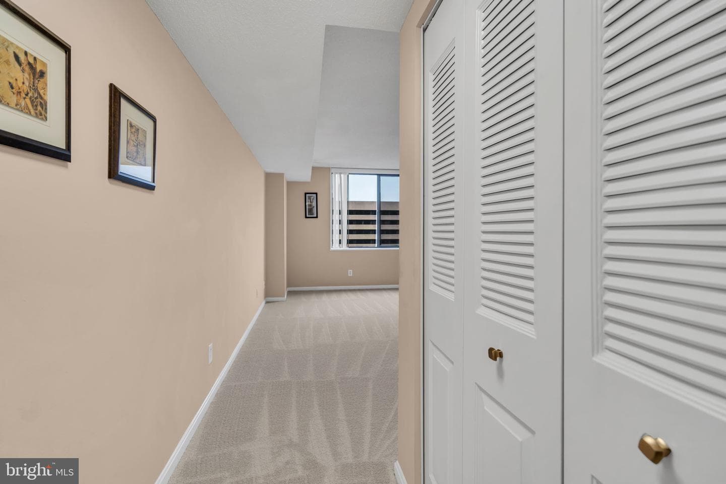 3713 S George Mason Drive #1109 photo 27