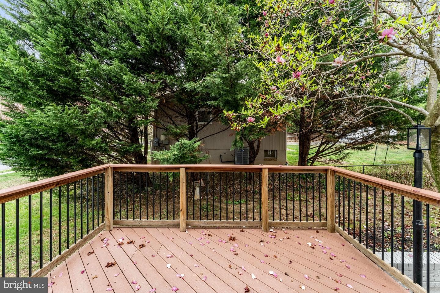 8612 Cottage Street photo 58