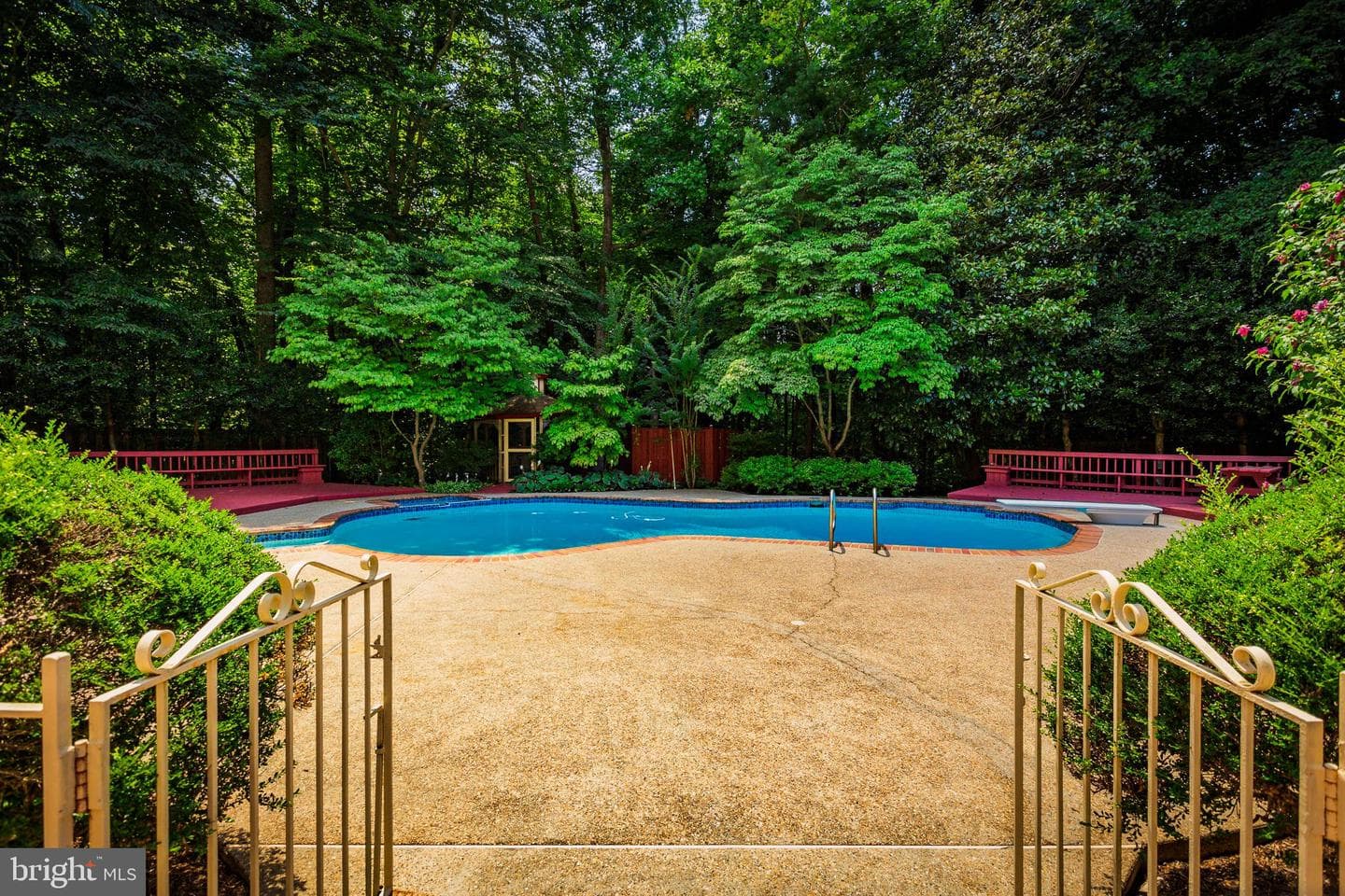 10525 Summerwind Lane photo 77