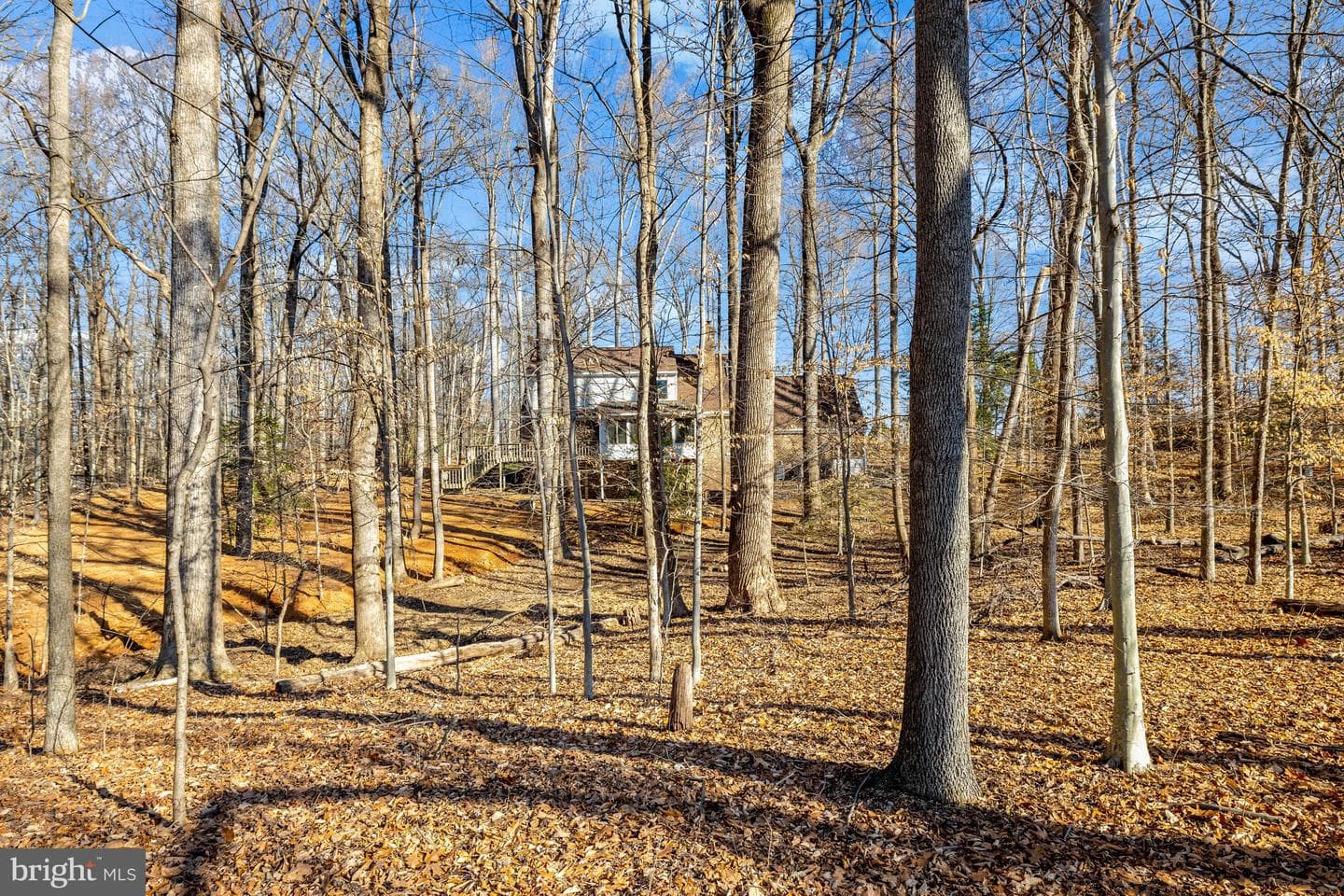 9982 Blackberry Lane photo 41