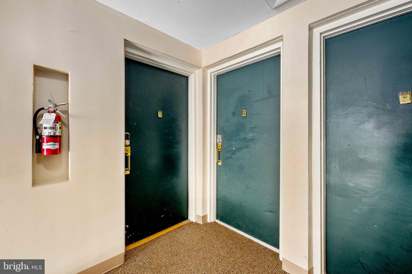 2844 Dover Lane #302 photo 11