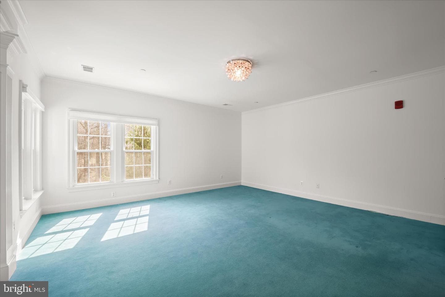 13215 Twin Lakes Drive photo 52