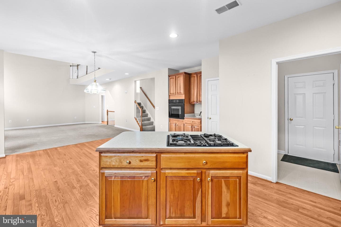 12494 Cliff Edge Drive photo 10