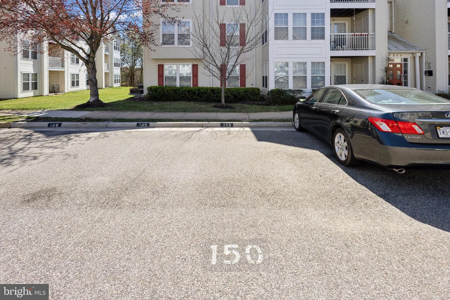 7514 Snowpea Court #g photo 19