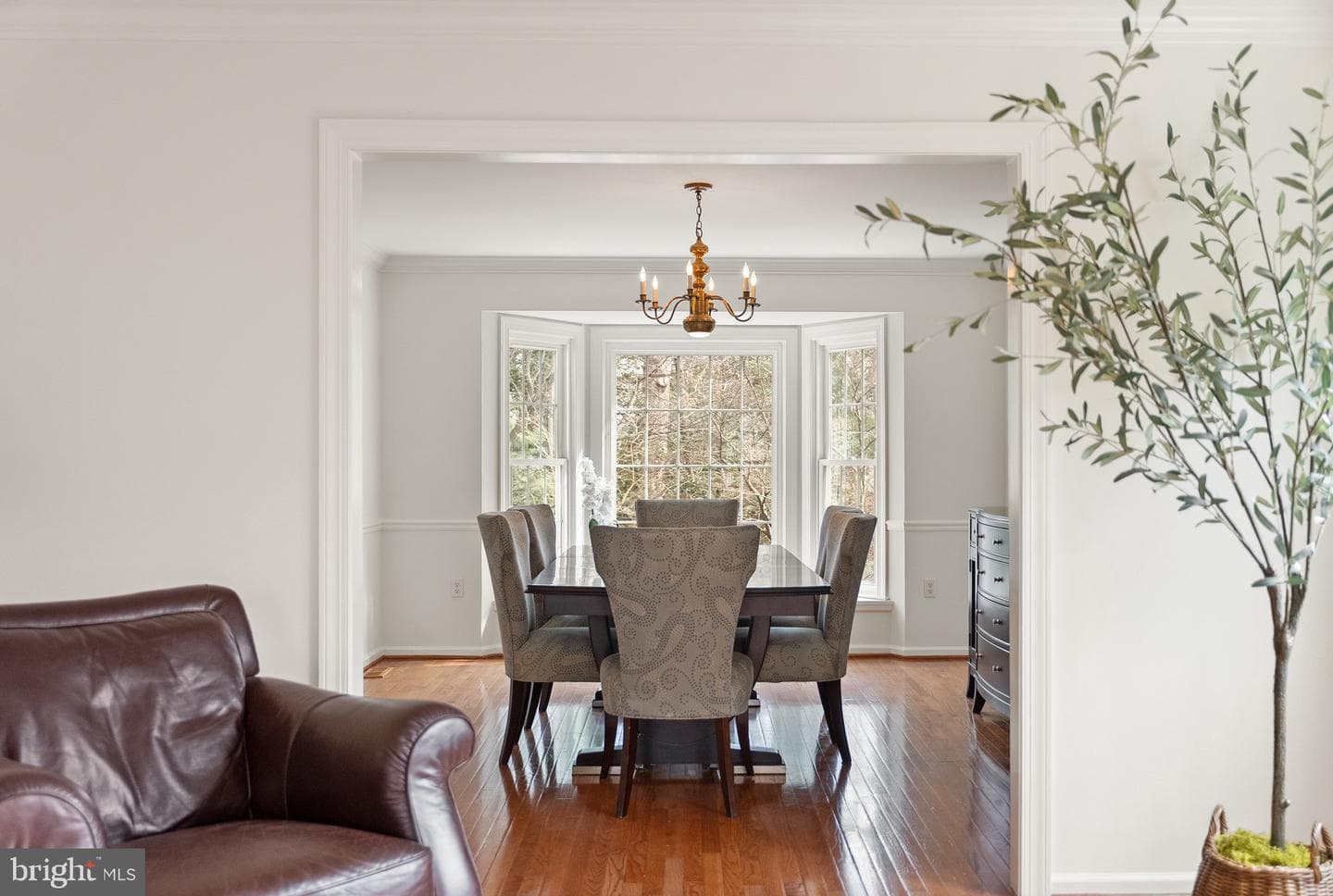10803 Steven Lee Court photo 18