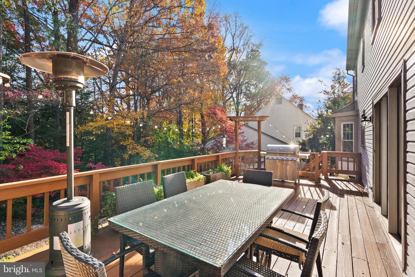 10803 Steven Lee Court photo 44