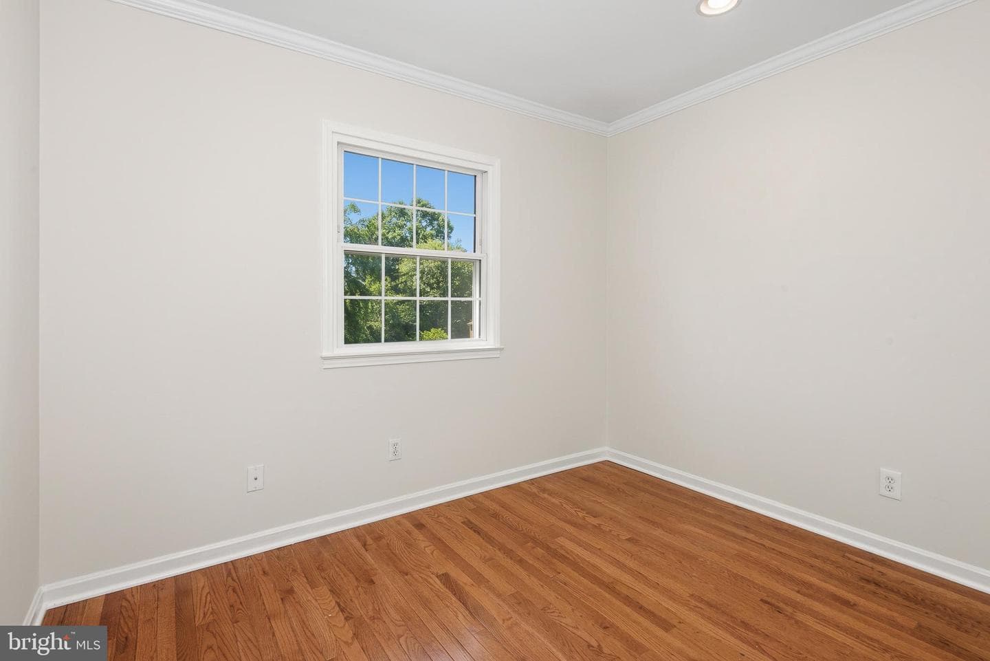 14843 Leicester Court photo 8