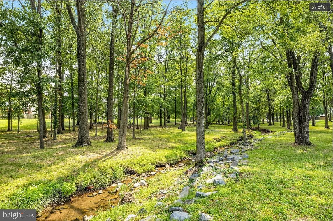 2205 Herman Court photo 46
