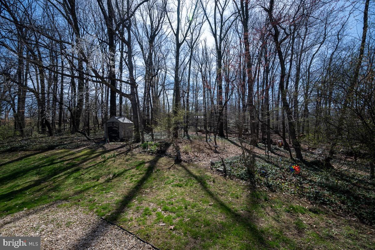 3812 Tall Oak Court photo 67