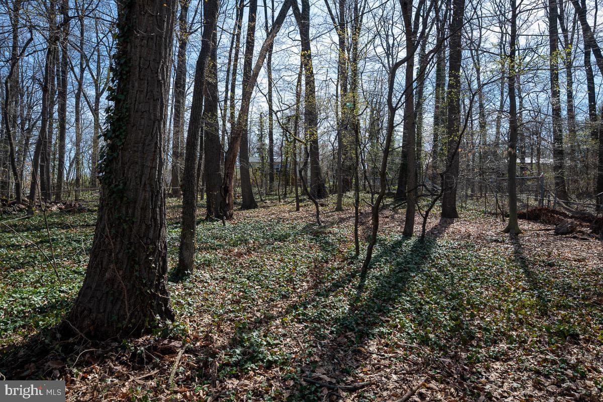 3812 Tall Oak Court photo 69