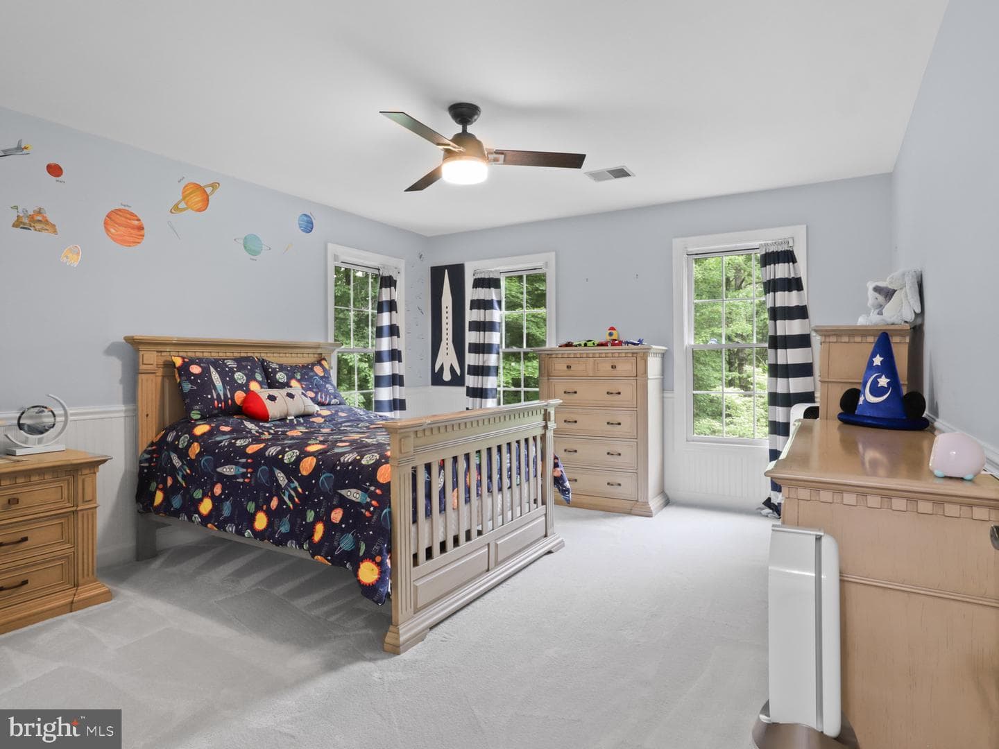 8197 Cottage Rose Court photo 60