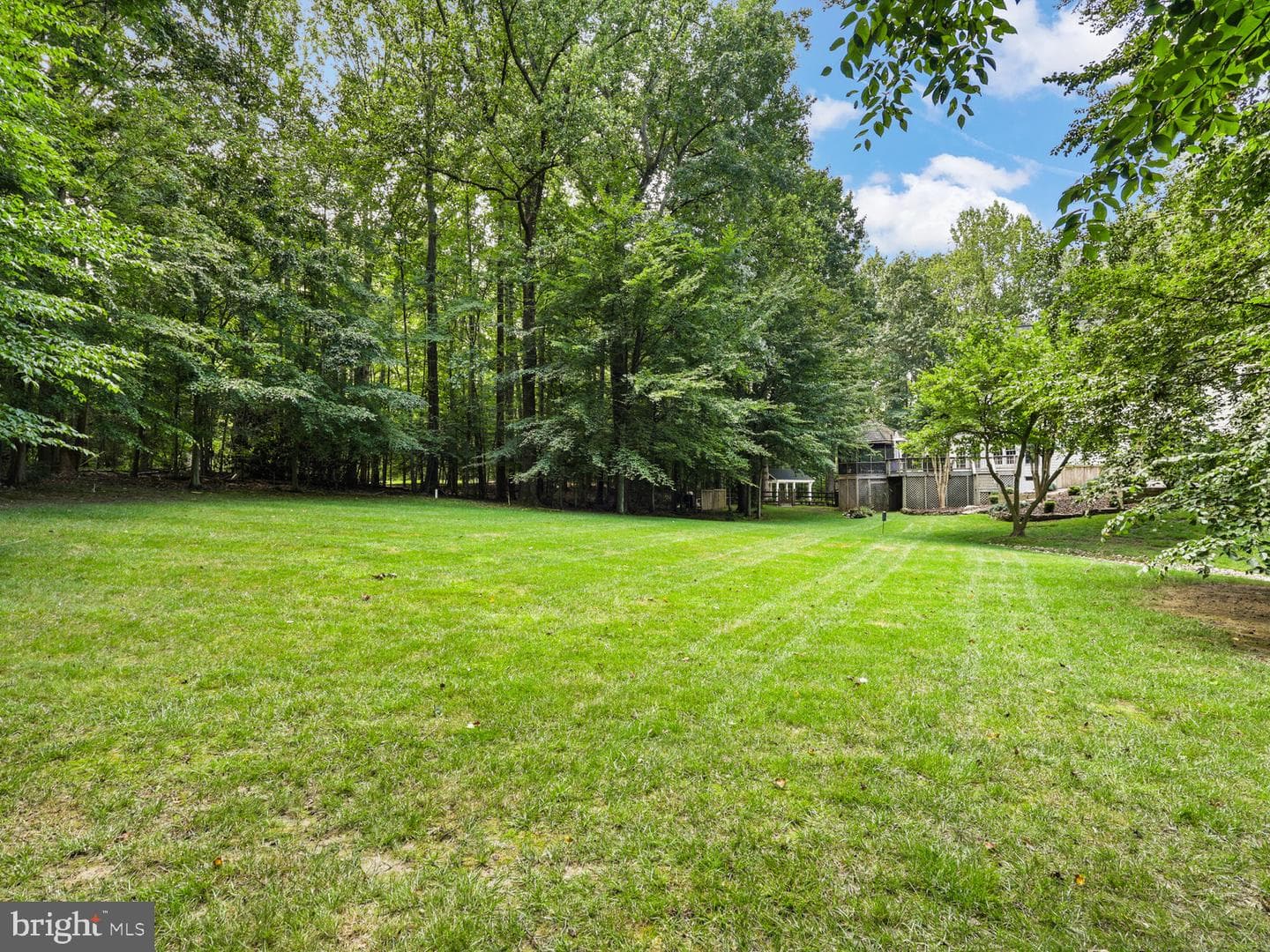 8197 Cottage Rose Court photo 92