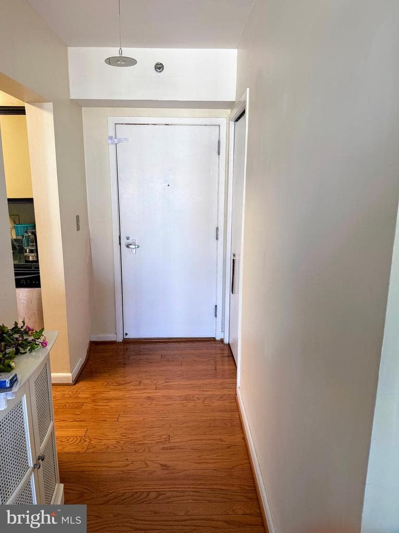 5505 Seminary Road #1414n photo 8